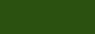 #2b5110 Color Information
