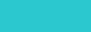 #2bc8d0 Color Information