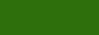 #2e6f0c Color Information