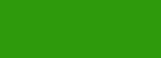 #2e9a0c Color Information