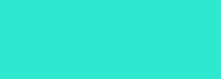 #2ee9d0 Color Information