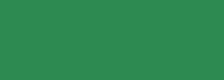 #2f8b51 Color Information