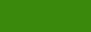 #3a890c Color Information