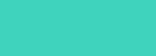 #3fd2bc Color Information