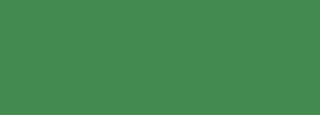 #458b51 Color Information