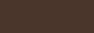 #4a362b Color Information