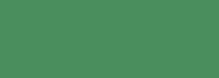 #4a8f5d Color Information