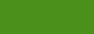 #4a901b Color Information
