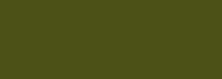 #4b5119 Color Information