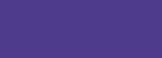 #4e3b8c Color Information
