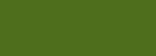 #4e6e1c Color Information