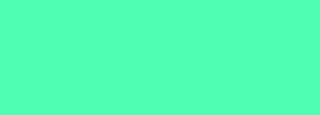 #4ffdb2 Color Information