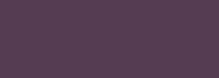 #543b51 Color Information