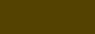 #544201 Color Information