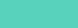 #58d2bc Color Information