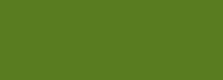 #5a7c20 Color Information