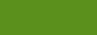 #5a901b Color Information