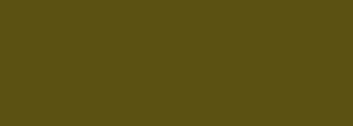 #5b5112 Color Information