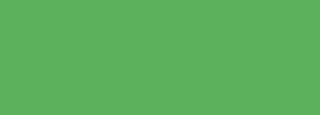 #5cb15d Color Information
