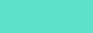 #5de1cb Color Information