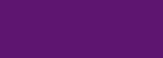 #5e1570 Color Information