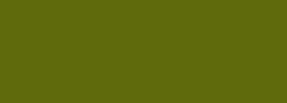 #5f6a0c Color Information