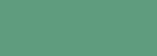 #5f9c7e Color Information