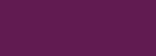 #611b51 Color Information