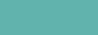 #61b3ad Color Information