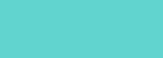 #61d4d0 Color Information