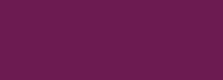 #6c1b51 Color Information