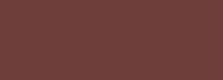 #6e3e3d Color Information