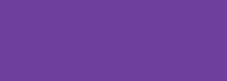 #6e3f9c Color Information