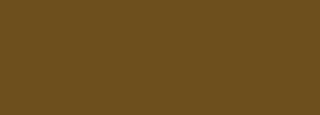 #6e4f1f Color Information