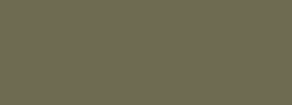 #6e6b51 Color Information