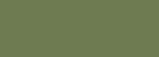 #6e7b51 Color Information