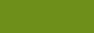 #6e901b Color Information