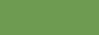#6e9b51 Color Information