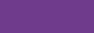 #6f3b8c Color Information