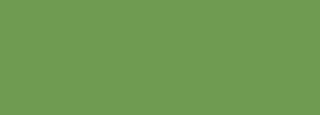 #6f9b51 Color Information