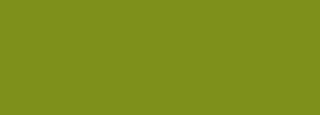 #7e901b Color Information