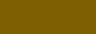 #805e02 Color Information