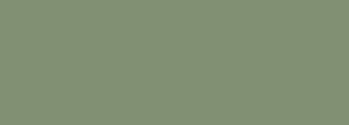#819073 Color Information