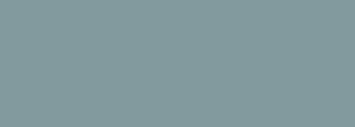 #819b9c Color Information
