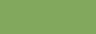 #82a85d Color Information