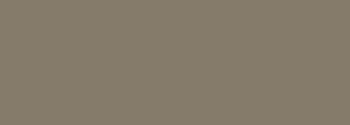 #857b6a Color Information