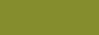 #858d2d Color Information