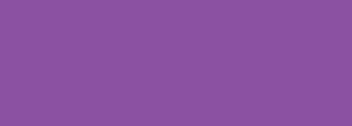 #8b51a2 Color Information