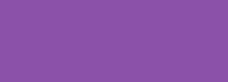 #8b51a9 Color Information