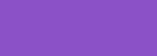 #8b51c7 Color Information